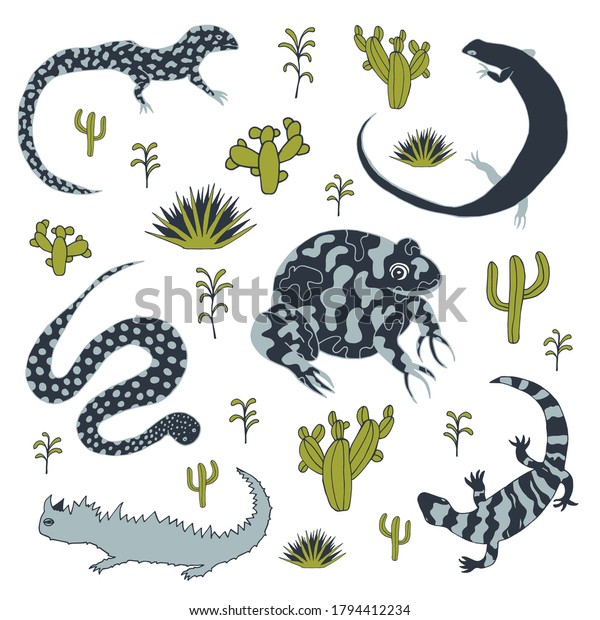 Reptiles\
illustration. Different kinds of amphibian animals in grey and\
green colors. Lizard, moloch, toad, snake, monitor lizard, gila\
monster. Vector stock\
illustration.