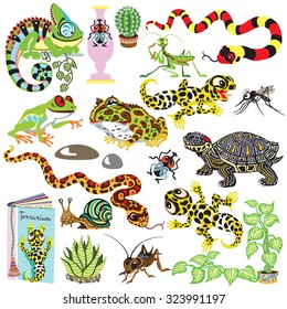 reptiles set , amphibians and insects , isolated cartoon terrarium animals 