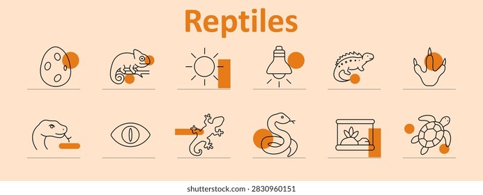 Reptiles set icon. Spotted egg, chameleon form, bright sun, heat lamp, iguana form, claw footprint, snake head, slit eye, climbing gecko, coiled snake, terrarium tank, swimming turtle.