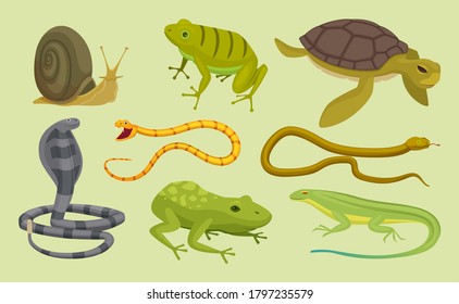 Reptiles listos. Caricatura de tortugas de serpiente lagartijas vectores animales salvajes