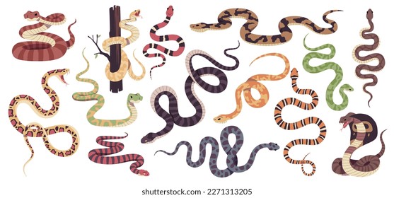 Reptiles snakes. Decorative tropical reptile collection, poisonous and not, different types scaly, crawling animals, cobra, python, ophiophagus and lampropeltis, tidy vector cartoon set