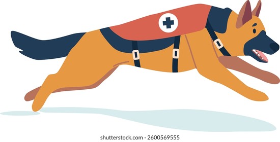Rescue dog animal running vector illustration
