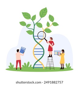 Researchers examining a large DNA helix intertwined with plant leaves. One uses a magnifying glass, another holds test tubes, and a third person calculates data vector illustration