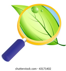 Researching natural tree leaf