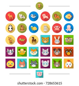 Reserve, sea, ecology and other web icon in cartoon style. Birds, nature, zoo, icons in set collection.