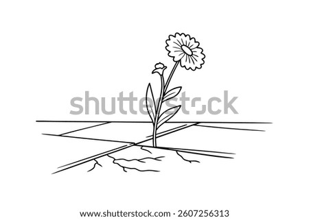 Resilience Flower Growing Through Cracked Pavement