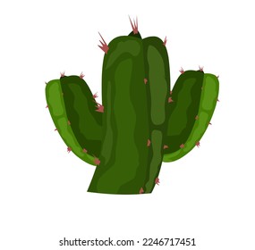 Resin spurge (Euphorbia resinifera), medicinal plant. Hand drawn botanical vector illustration