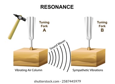 Resonance diagram. Sound waves acoustic. Science education vector illustration