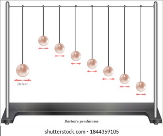 Resonance and oscillation (Barton's Pendulums)