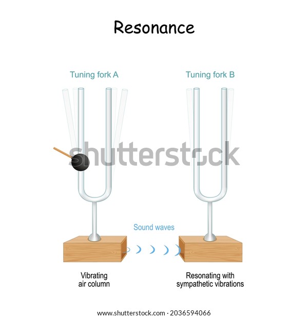 tuning fork resonance experiment on reddit