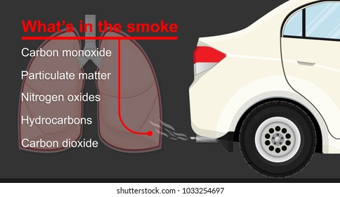 Respiratory Disease From Vehicle Emission Exhaust Cancer Greenhouse Gas Particulate Matter Pollutant Smog Transport Environment