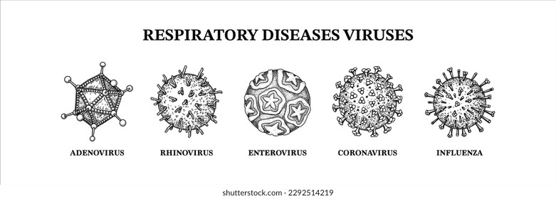 Virus de enfermedades respiratorias. Grupo de microorganismos dibujado a mano. Ilustración vectorial científica en el estilo de esbozo