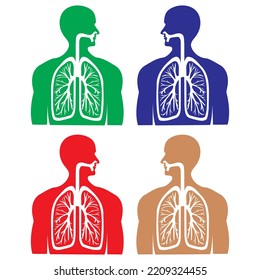 The Respiratory Organs. Human Lungs Vector illustration
