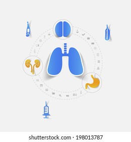 respiratory system