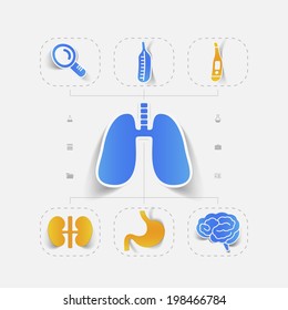 respiratory system