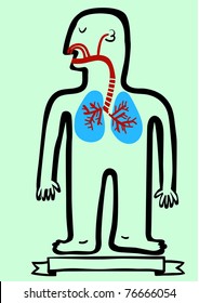 Respiratory system