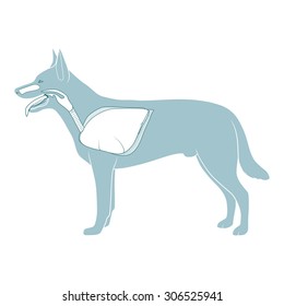 Respiratory system of the dog vector illustration