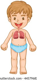 Respiratory system in human boy illustration