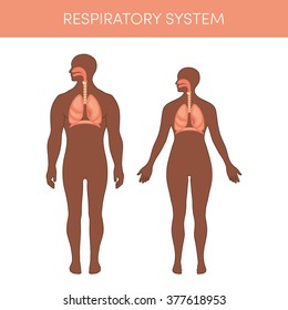 Respiratory system of a human. Cartoon vector illustration for medical atlas or educational textbook. Physiology of a black male and female.