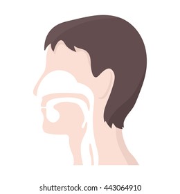 Respiratory system icon cartoon.