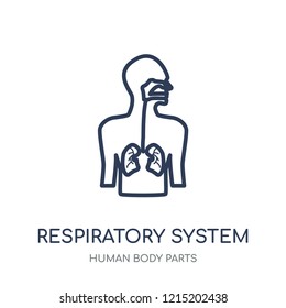 Respiratory System icon. Respiratory System linear symbol design from Human Body Parts collection.