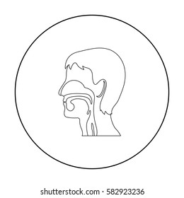 Respiratory system icon outline. Single medicine icon from the big medical, healthcare outline.