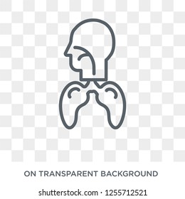 Respiratory System icon. Trendy flat vector Respiratory System icon on transparent background from Human Body Parts collection. High quality filled Respiratory System symbol use for web and mobile