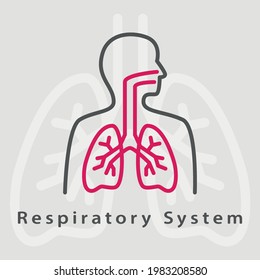 Respiratory System icon. Trendy flat vector Respiratory System icon on transparent background. High quality filled Respiratory System symbol use for web and mobile. Lungs vector icon. 