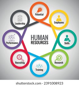 Responsabilidades de Recursos Humanos, Información gráfica con 8 pasos, Ilustración, Negocios, Gestión, Hr, Círculo, Estrategia, Gráfico, Marketing, Datos, Diagrama, Comunicación, Presentación, Diagrama, Paso