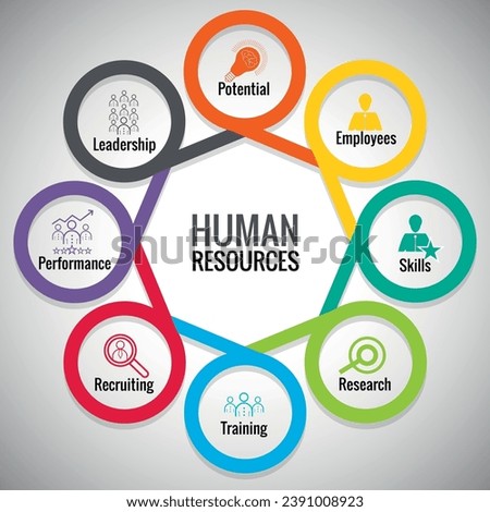 Responsibilities of Human Resources, Info graphic with 8 step, Illustration, Business, Management,  Hr, Circle, Strategy, Chart, Marketing, Data, Diagram, Communication, Presentation, Diagram, Step