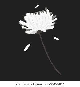 rest in peace R.I.P white chrysanthemum black and white