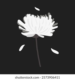 rest in peace R.I.P white chrysanthemum black and white