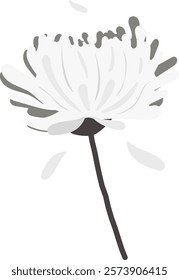 rest in peace R.I.P white chrysanthemum black and white