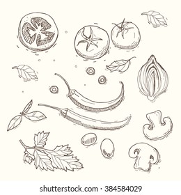 Restaurant cafe italian menu. Vegetables collection. Hand-drawn illustration, vintage