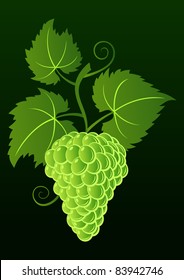 Restaurant cover menu design: bunch of green grapes and leaves