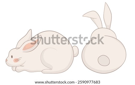 Resting and back-view bunny icon. One rabbit is lying down peacefully while the other is shown from behind with perked ears. Simple and soft animal illustration