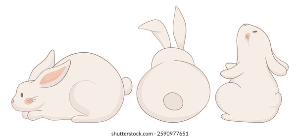 Resting, back-view, and sitting bunny icon. One rabbit is lying down, another is viewed from behind, and the third sits upright looking up. A peaceful and harmonious animal illustration