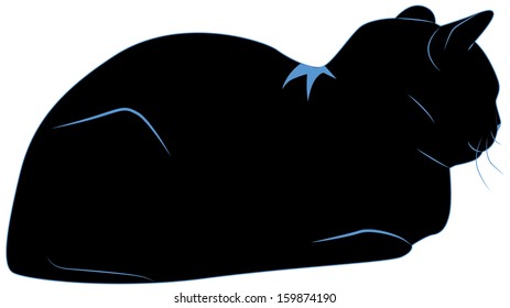 resting black cat with blue contour