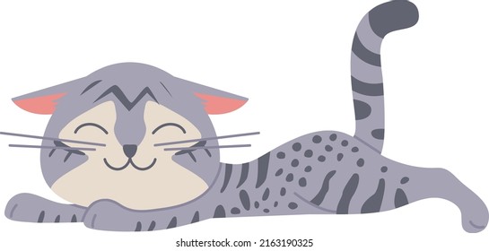 Resting gray cat. Cute sleeping smiling pet