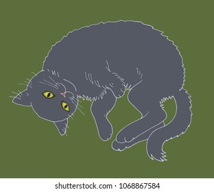 a resting gray cat on a green background
