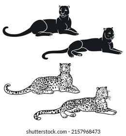 Resting leopards. Vector hand drawn illustration