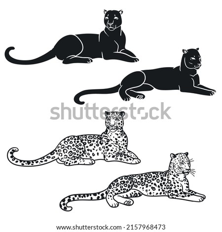 Resting leopards. Vector hand drawn illustration