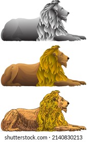 Resting lion with flowing mane isolated against white. Hand drawn vector illustration.