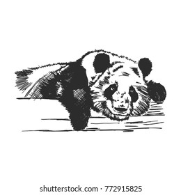 Resting panda pose on wood. Vector, illustration
