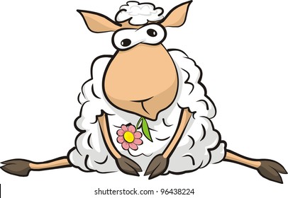 resting sheep