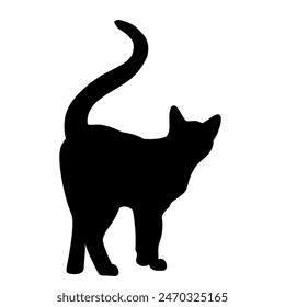  Restraining cat vector for book design, packaging
Cats are cute animals that children like
Plain black cat