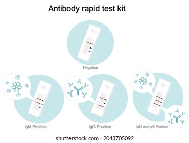 The result of antibody rapid test kit or lateral flow test (immunochromatography   technique) that separated interpretation of negative or positive :  IgM, IgG, the both of IgM and IgG.