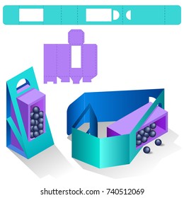 Retail Box with Blueprint Template. Cardboard Shaped Opening Carry Box Bag Packaging, Isolated On White Background. Die-stamping.