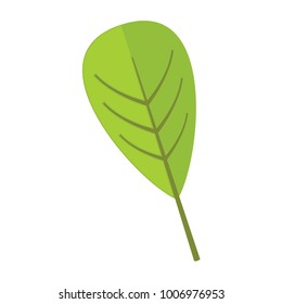 Reticulate Floral Leaf Vector Illustration Graphic Design