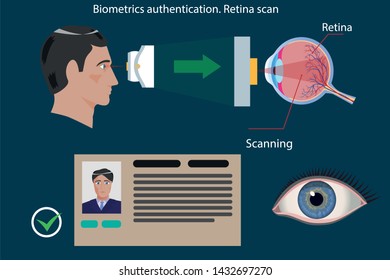 Retina scan type of biometric authentication - concept illustration. Modern technology of access control, security, identification. Vector infographics. Graphic design element.